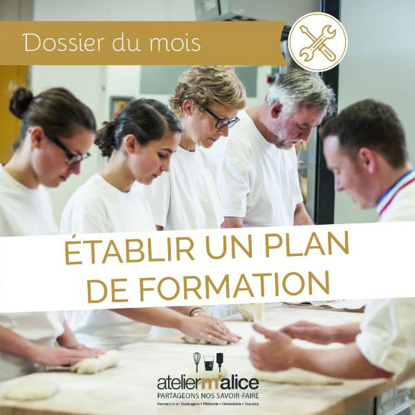 Etablir-un-plan-de-formation